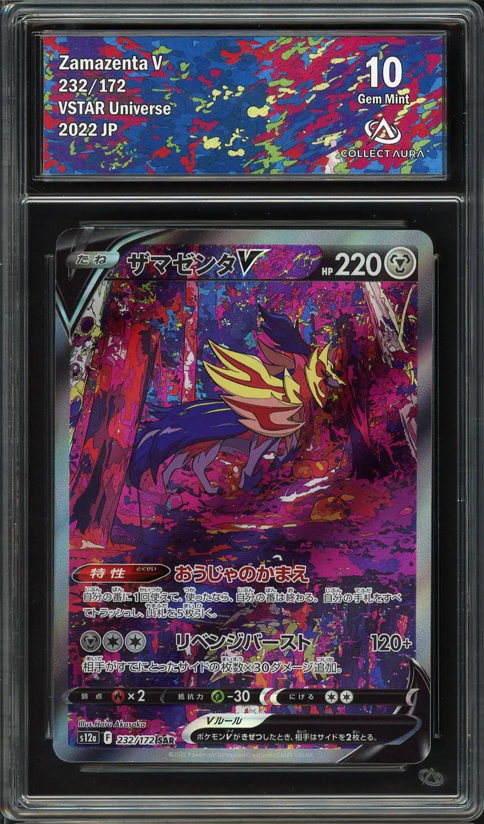 CA 10 Zamazenta V