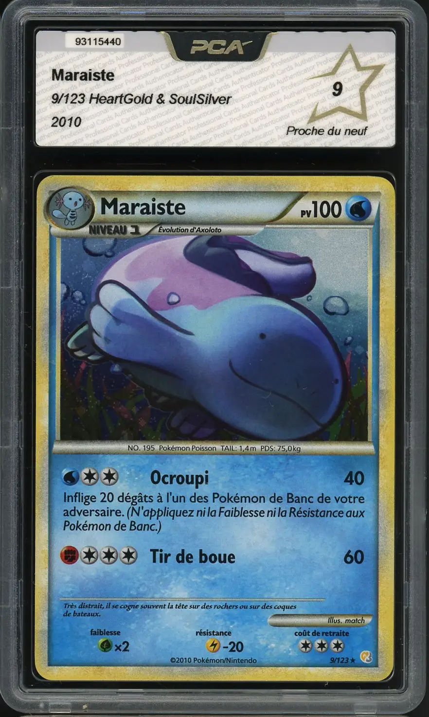 PCA 9 Maraiste Holo