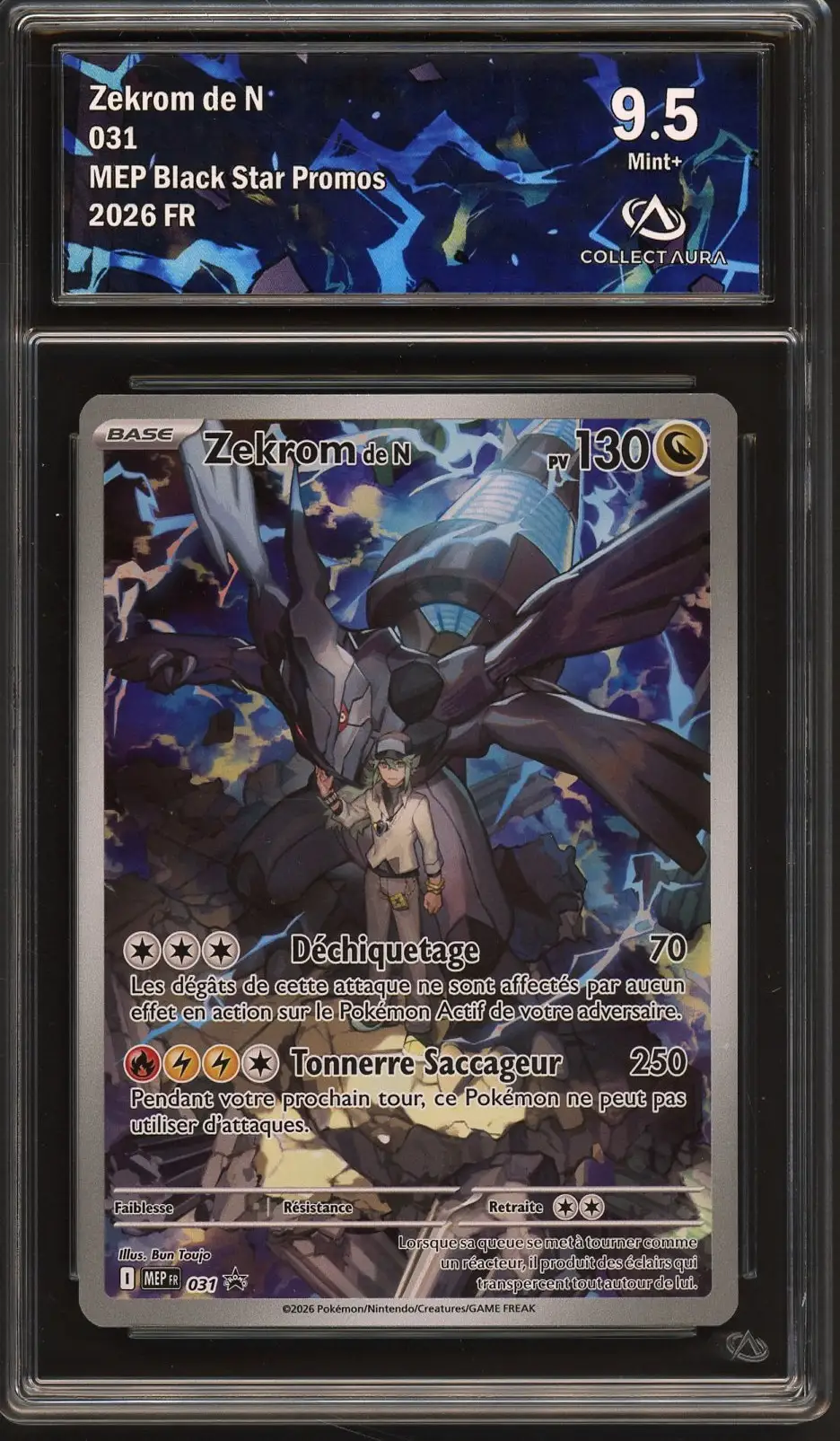 CA 9.5 Zekrom de N