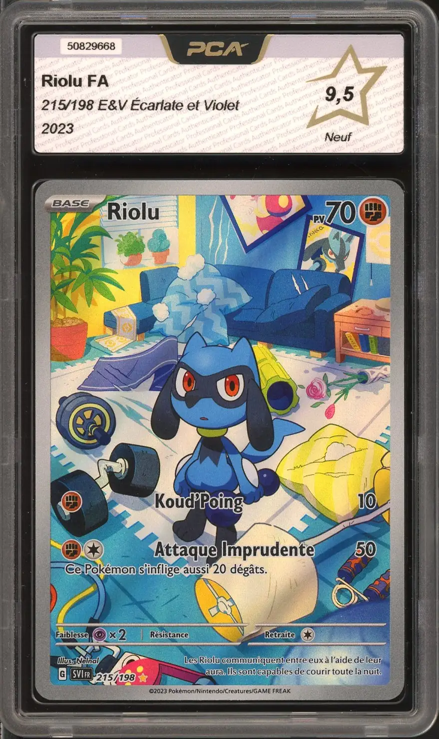PCA 9.5 Riolu