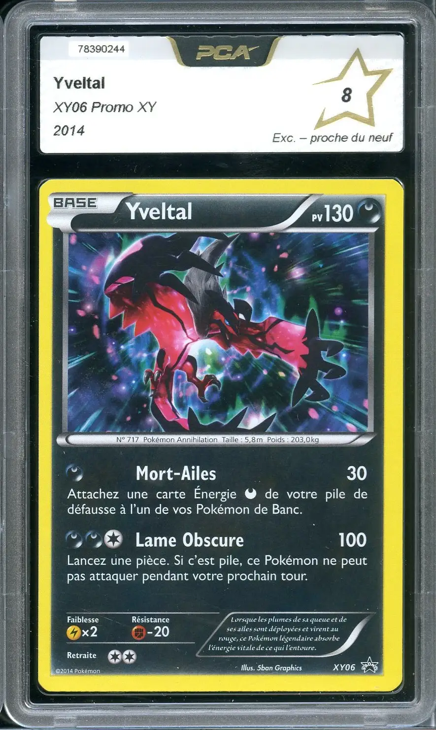 PCA 8 Yveltal