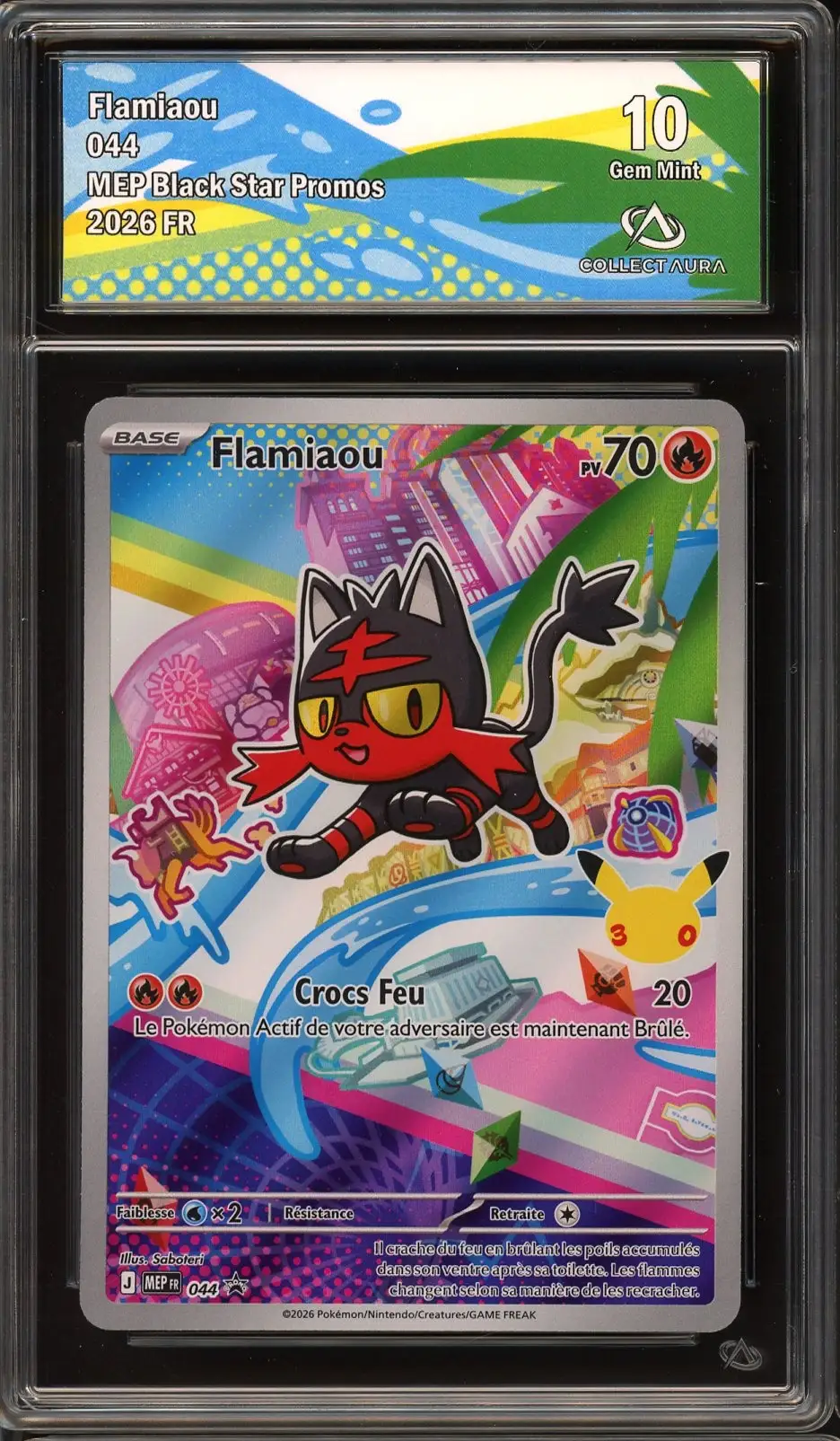 CA 10 Flamiaou