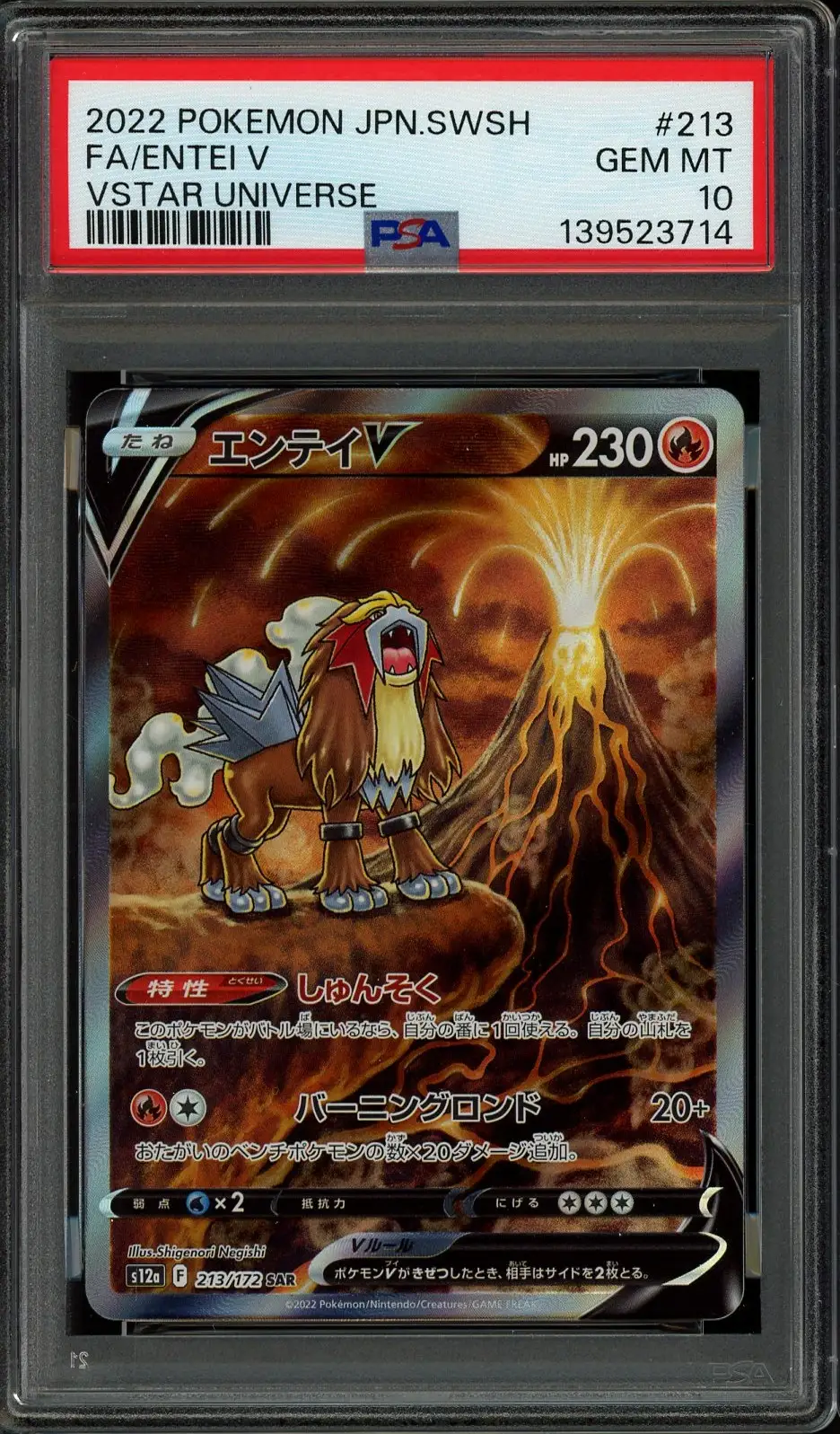 PSA 10 Entei V