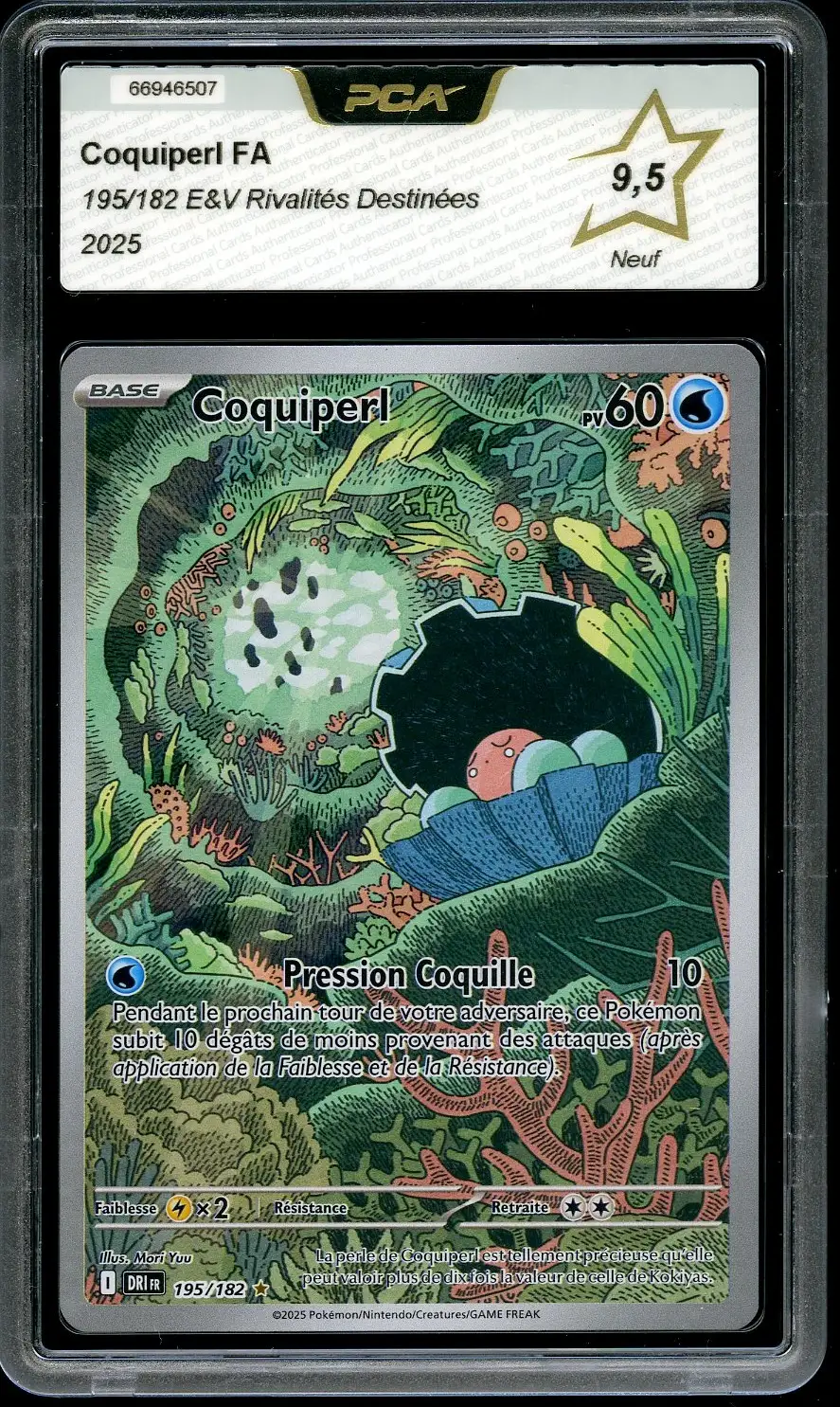 PCA 9.5 Coquiperl