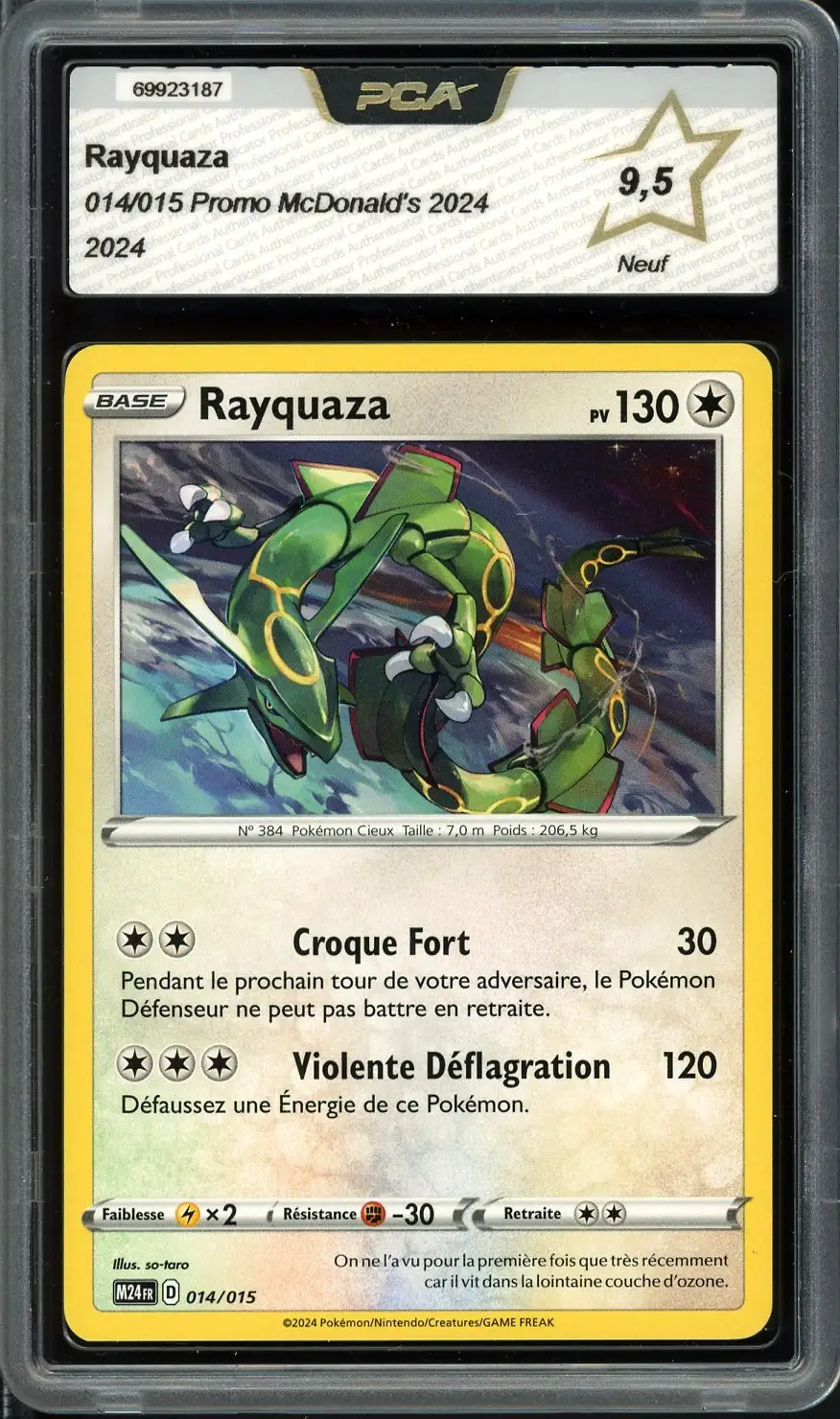 PCA 9.5 Rayquaza