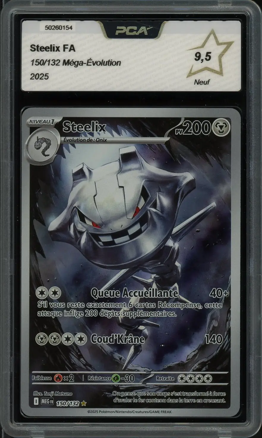 PCA 9.5 Steelix