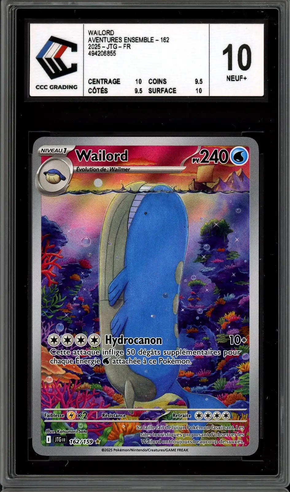 CCC 10 Wailord