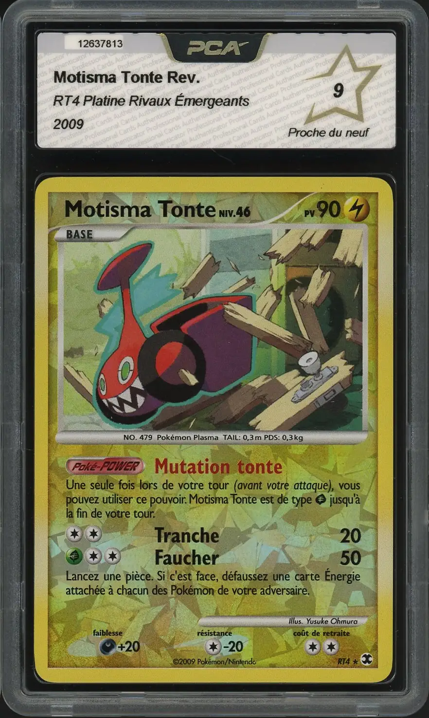 PCA 9 Motisma Tonte Reverse