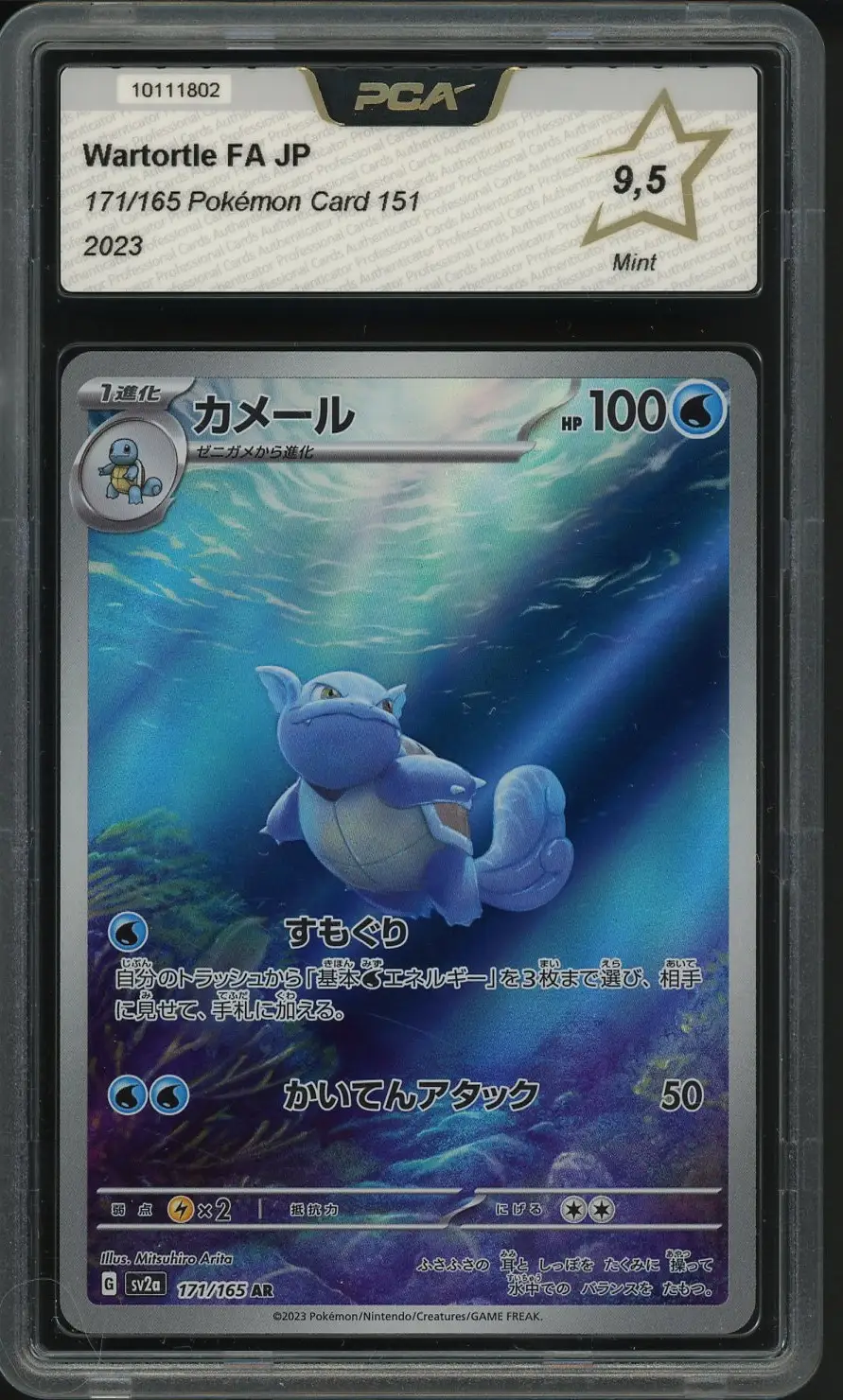 PCA 9.5 Wartortle