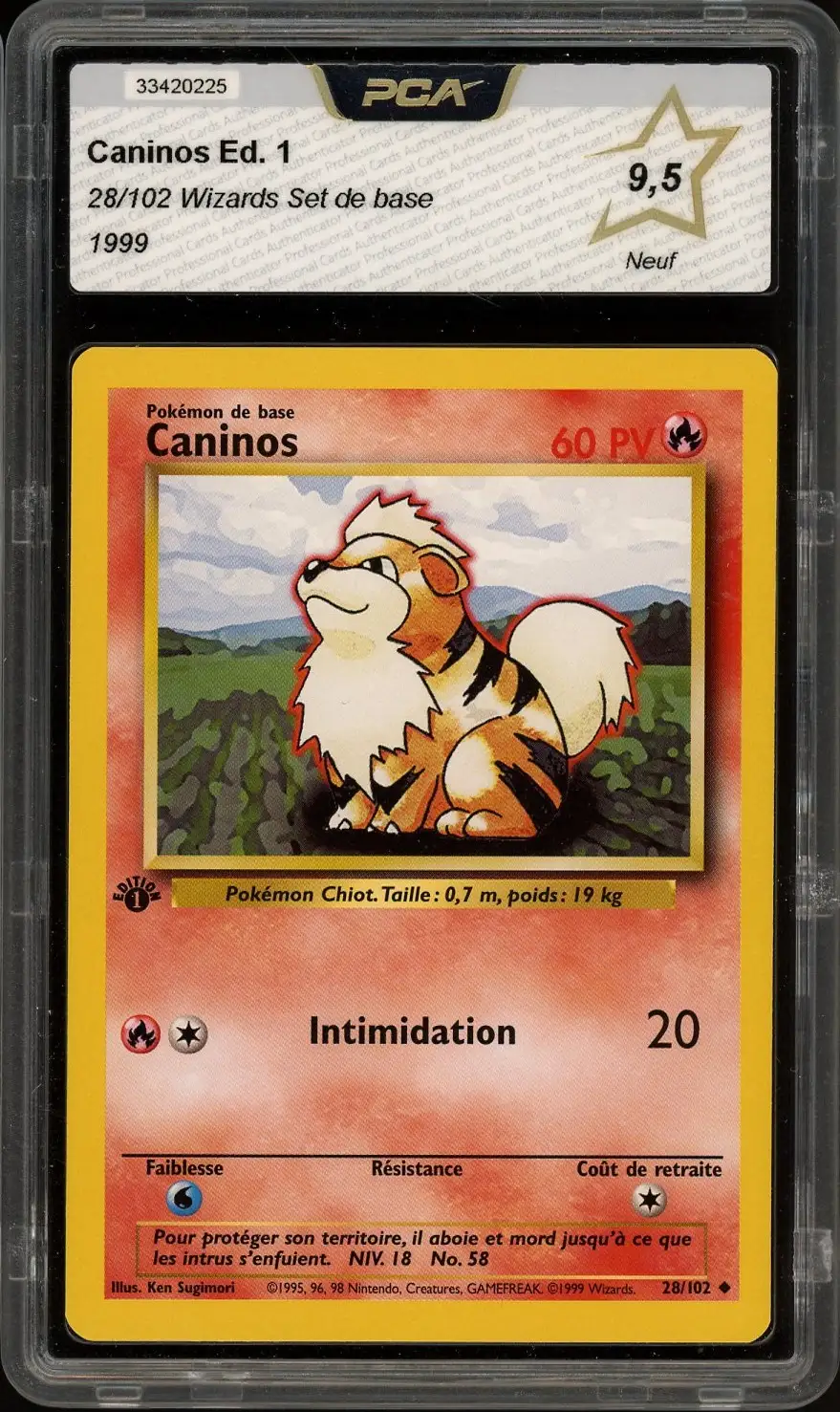 PCA 9.5 Caninos