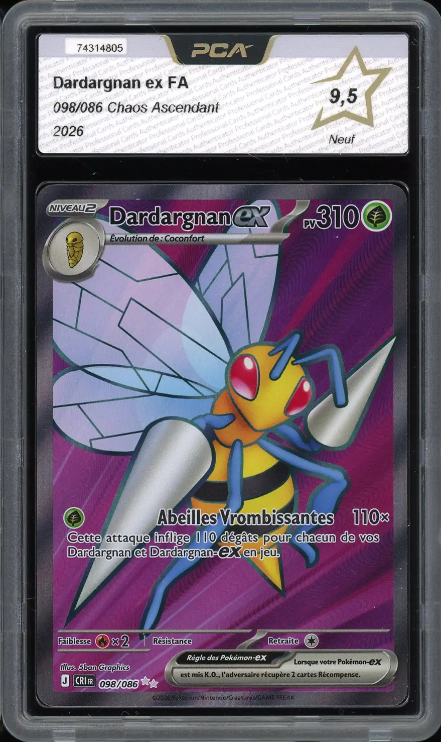 PCA 9.5 Dardargnan Ex