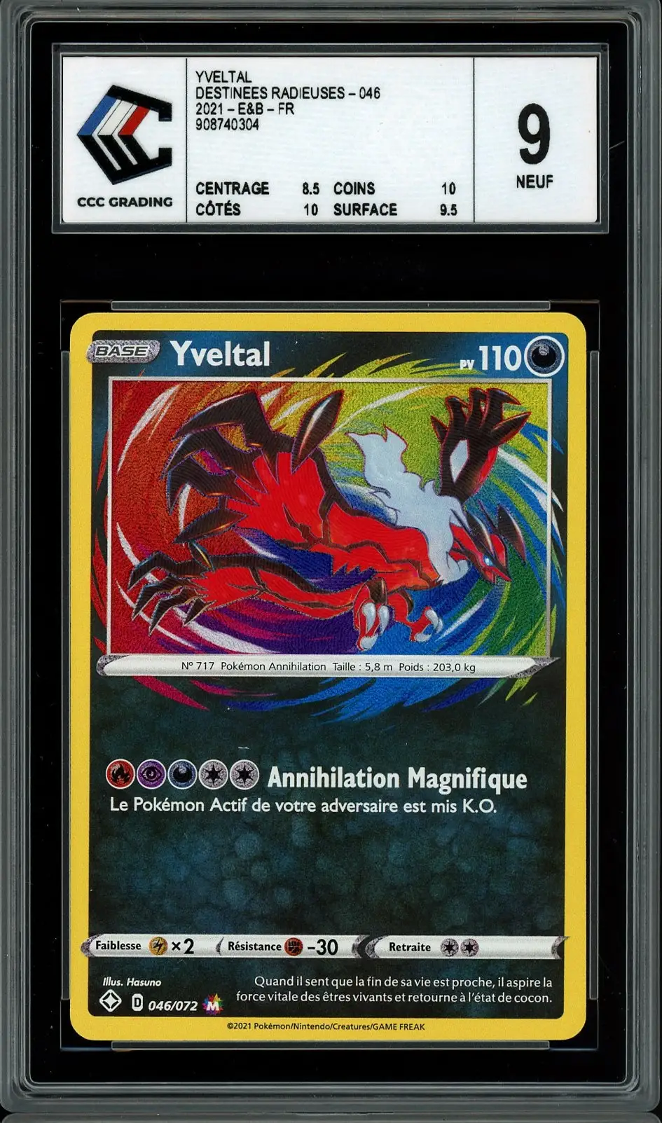 CCC 9 Yveltal Holo