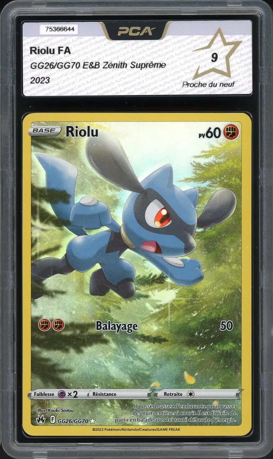 PCA 9 Riolu