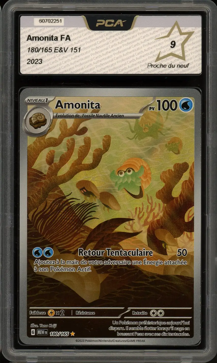 PCA 9 Amonita