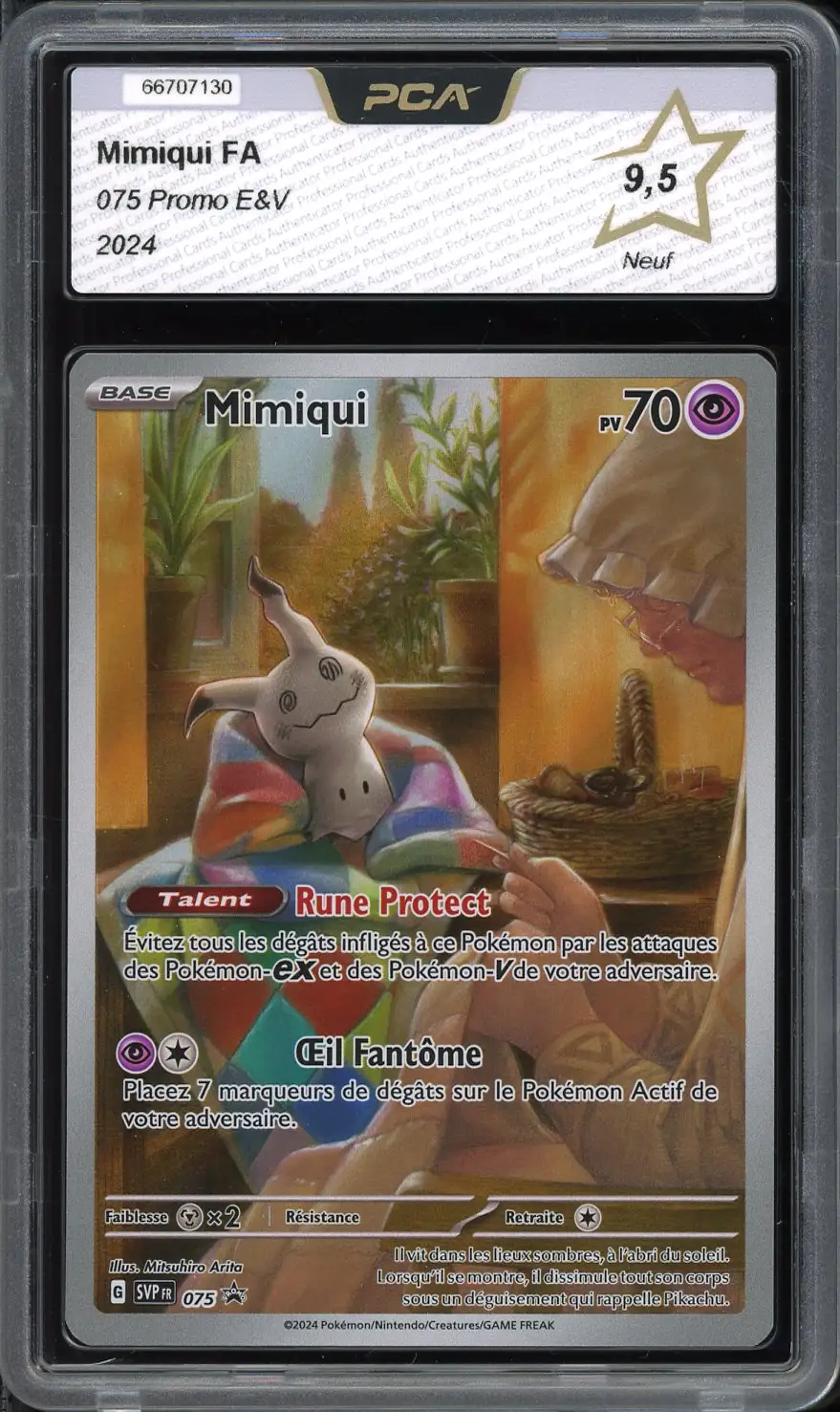 PCA 9.5 Mimiqui