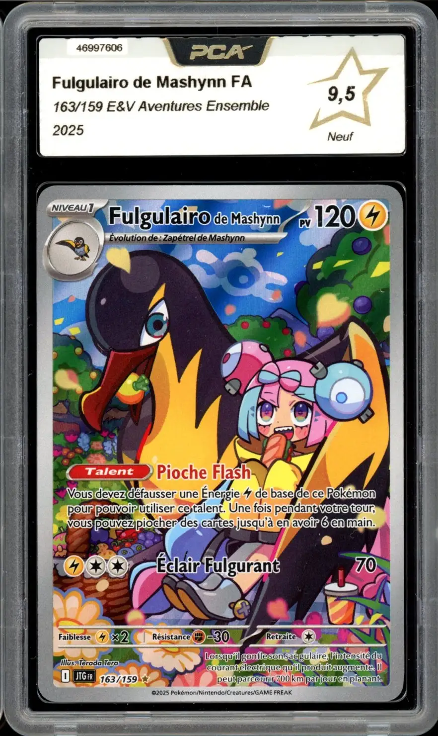 PCA 9.5 Fulgulairo de Mashynn