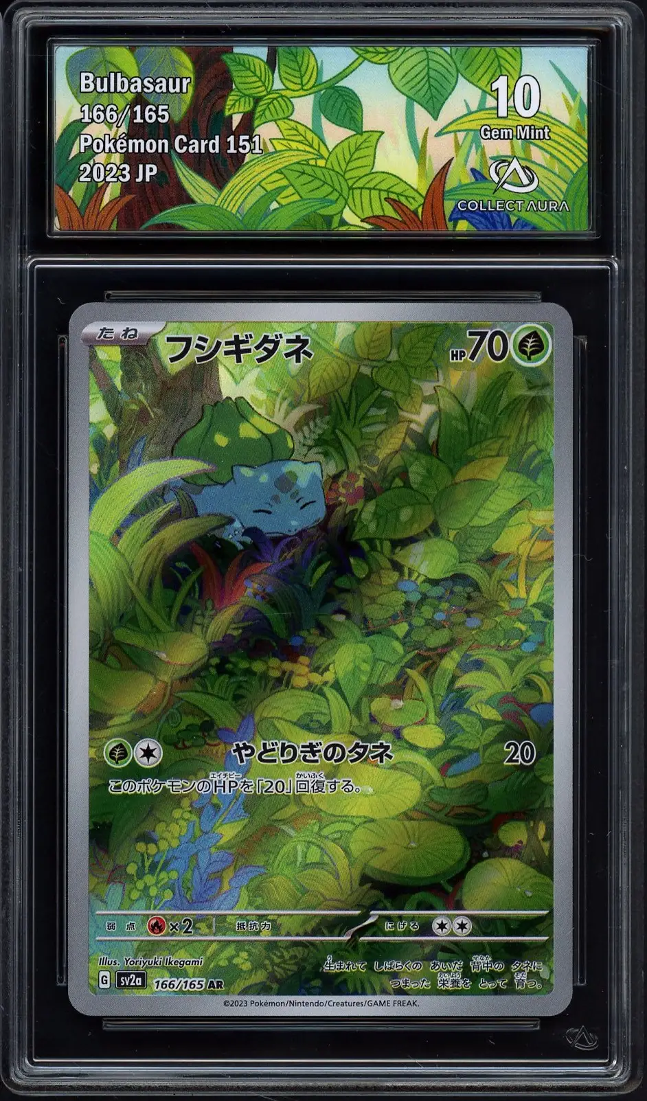 CA 10 Bulbasaur
