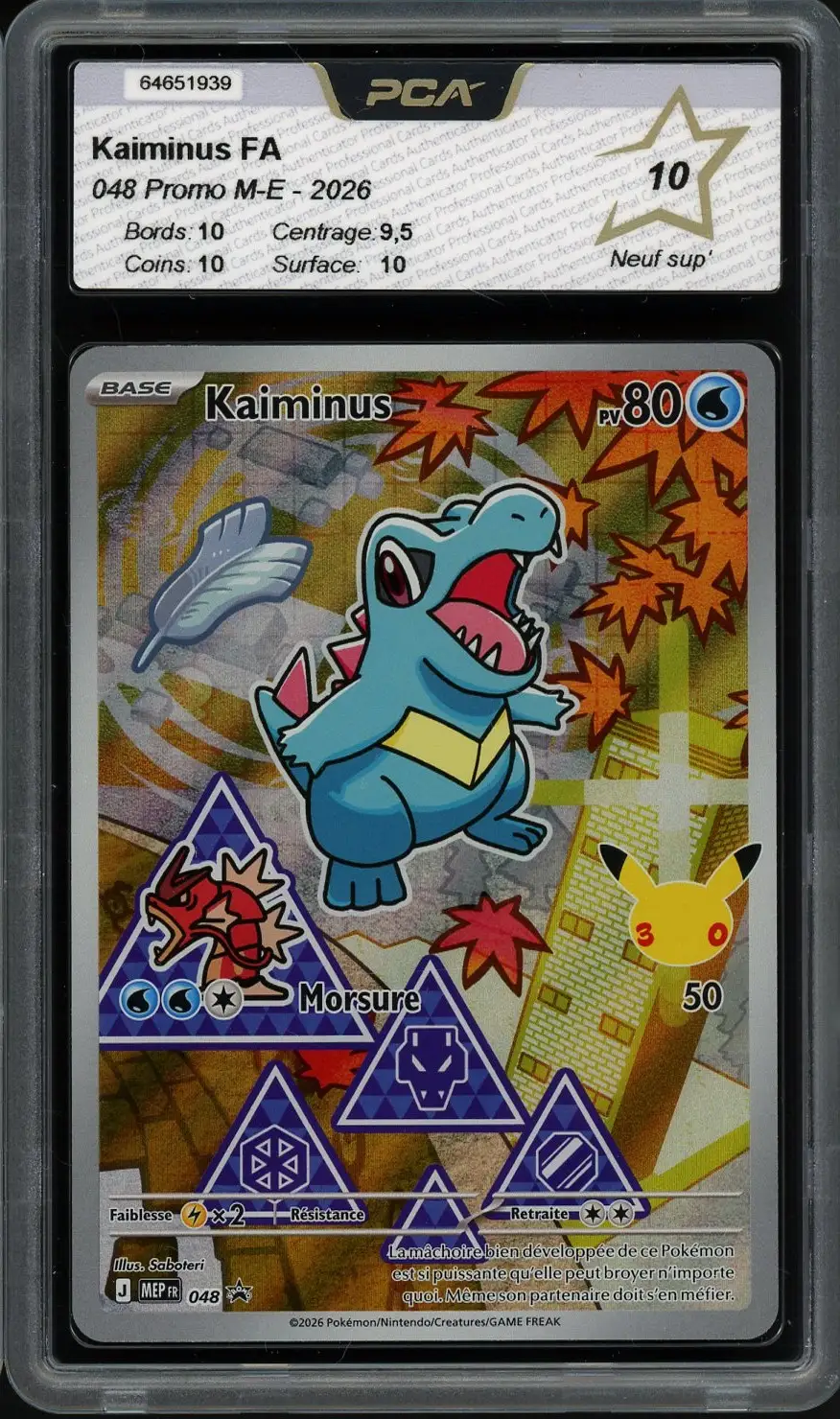 PCA 10 Kaiminus