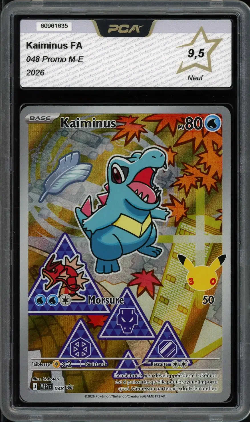 PCA 9.5 Kaiminus