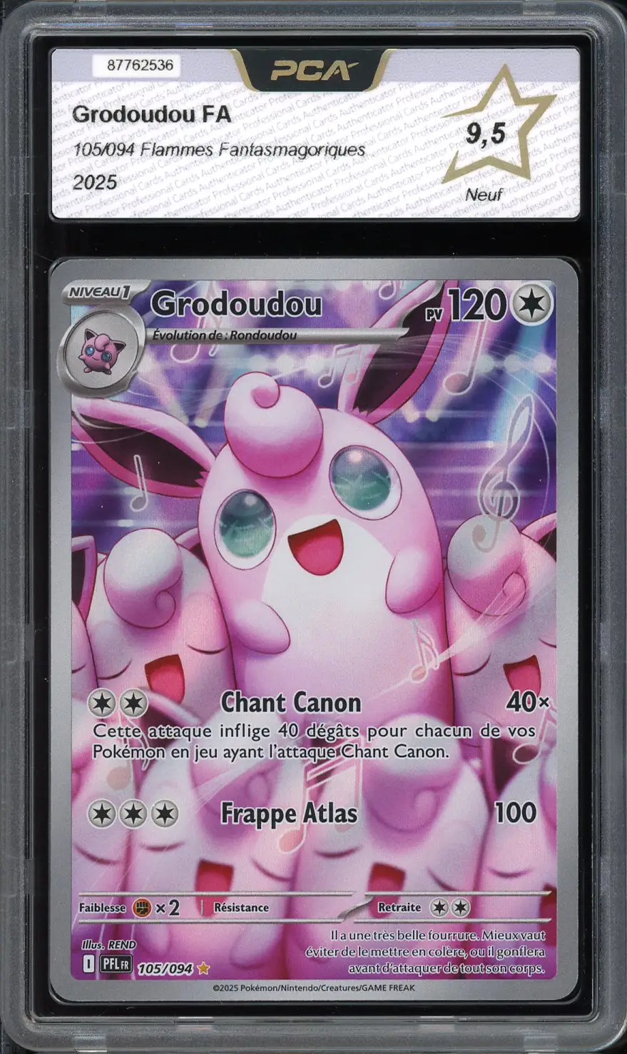 PCA 9.5 Grodoudou