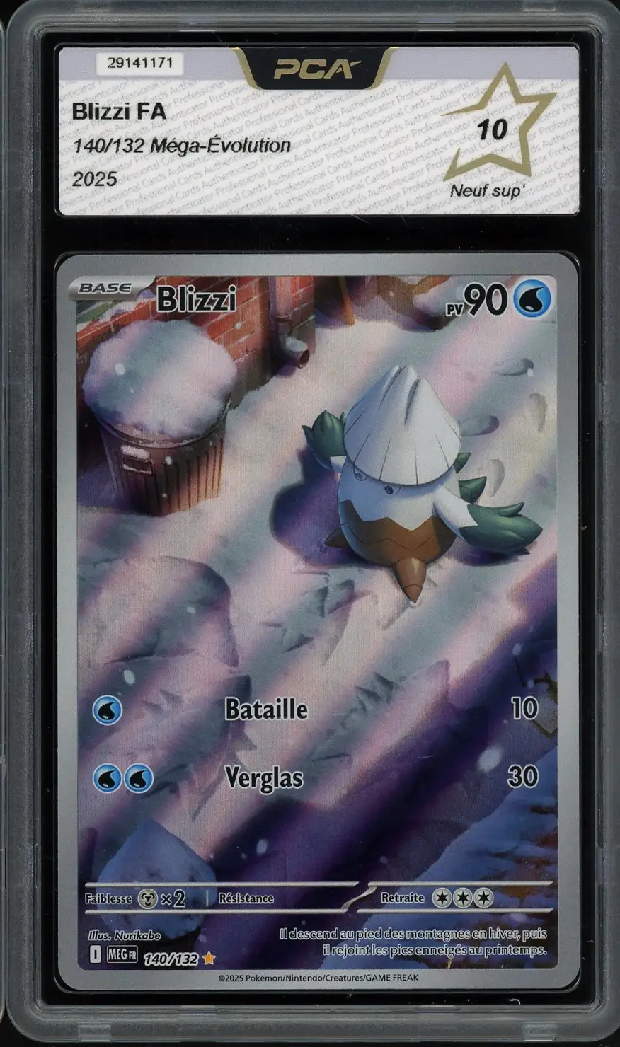 PCA 10 Blizzi