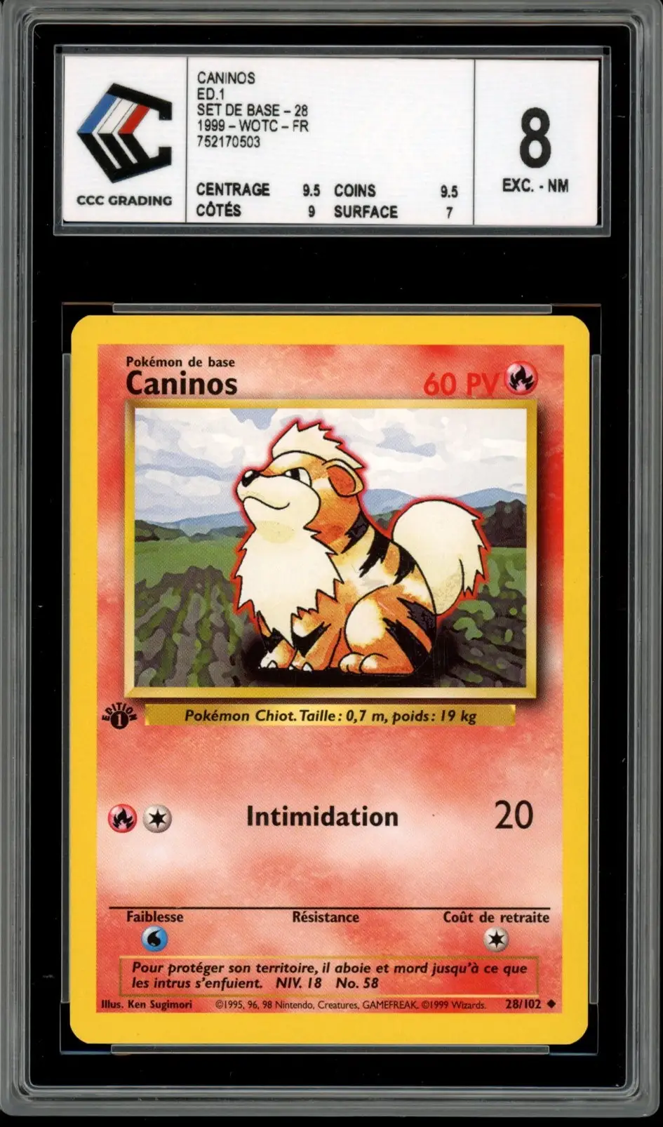 CCC 8 Caninos