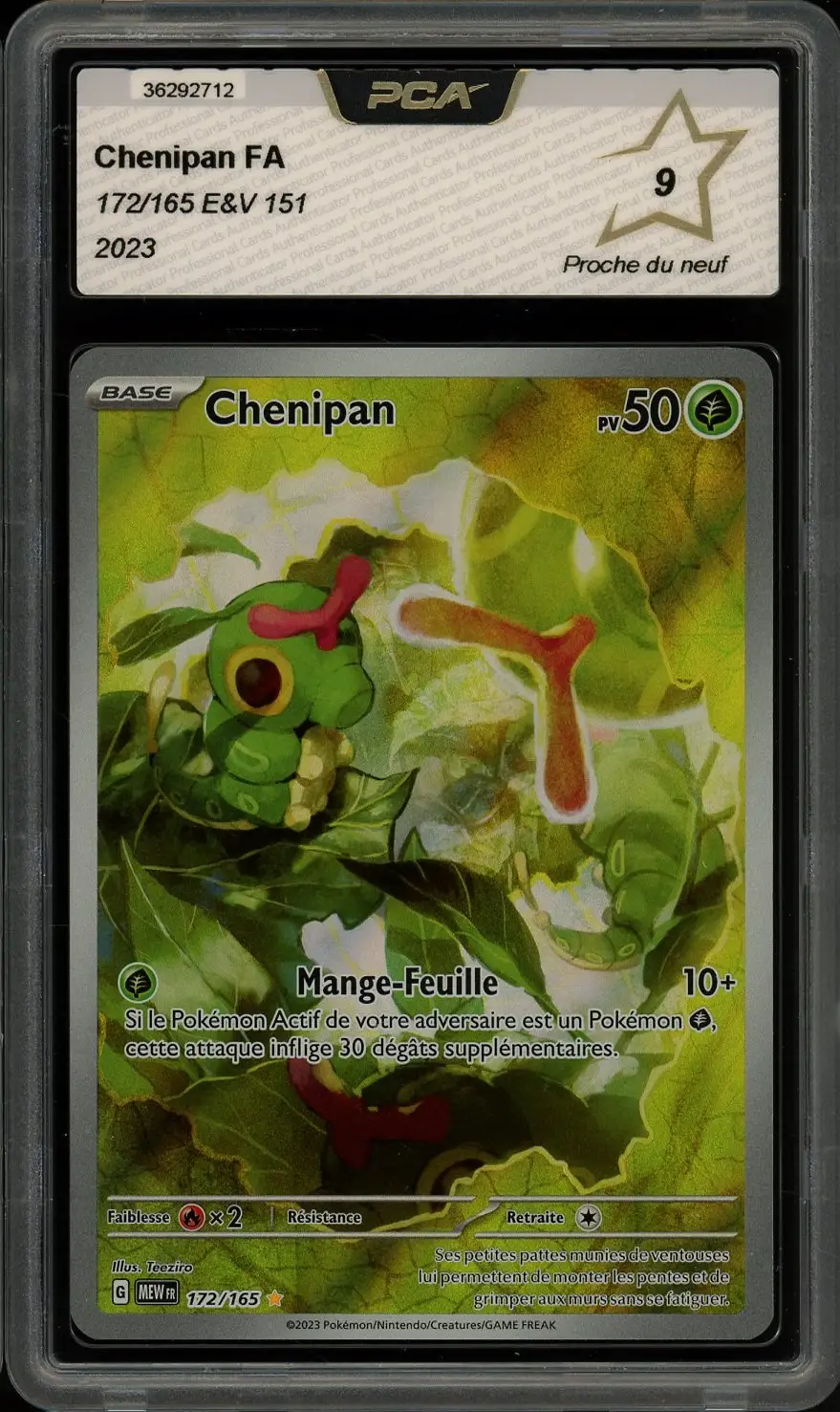 PCA 9 Chenipan