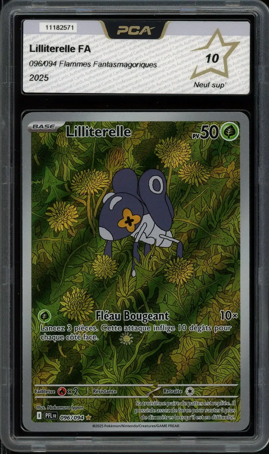 PCA 10 Lilliterelle