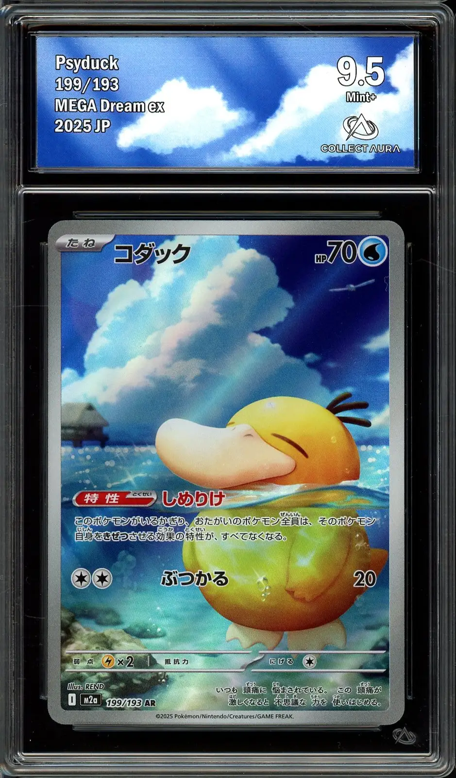 CA 9.5 Psyduck