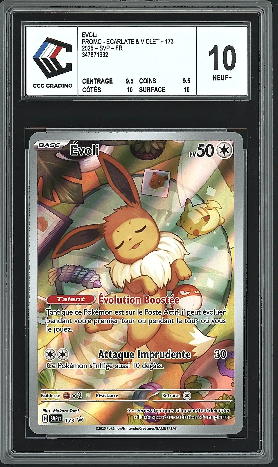 CCC 10 Evoli