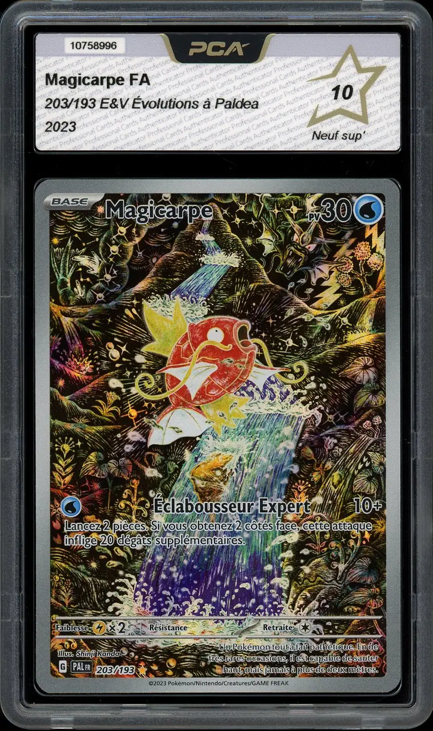 PCA 10 Magicarpe