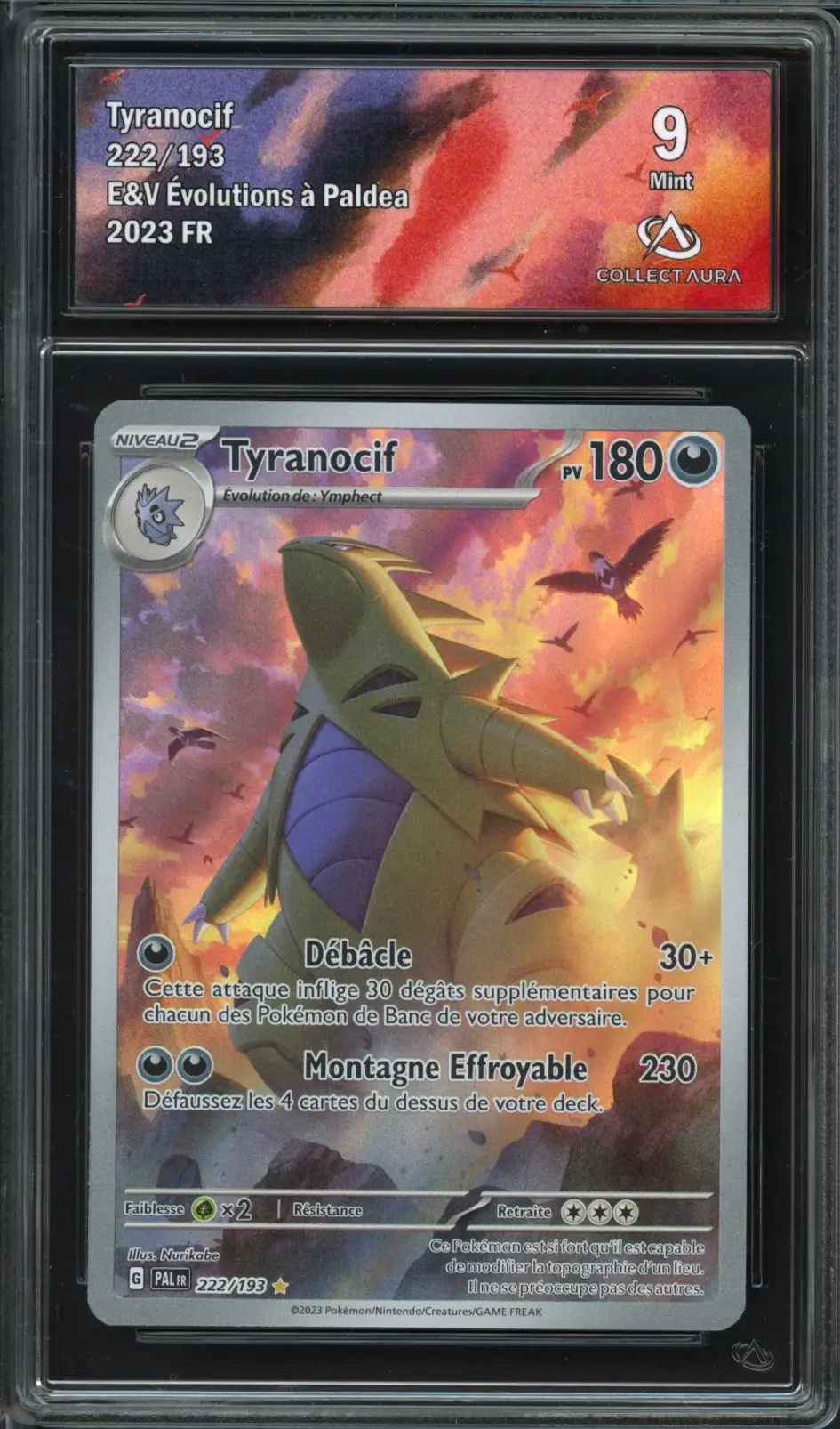 CA 9 Tyranocif
