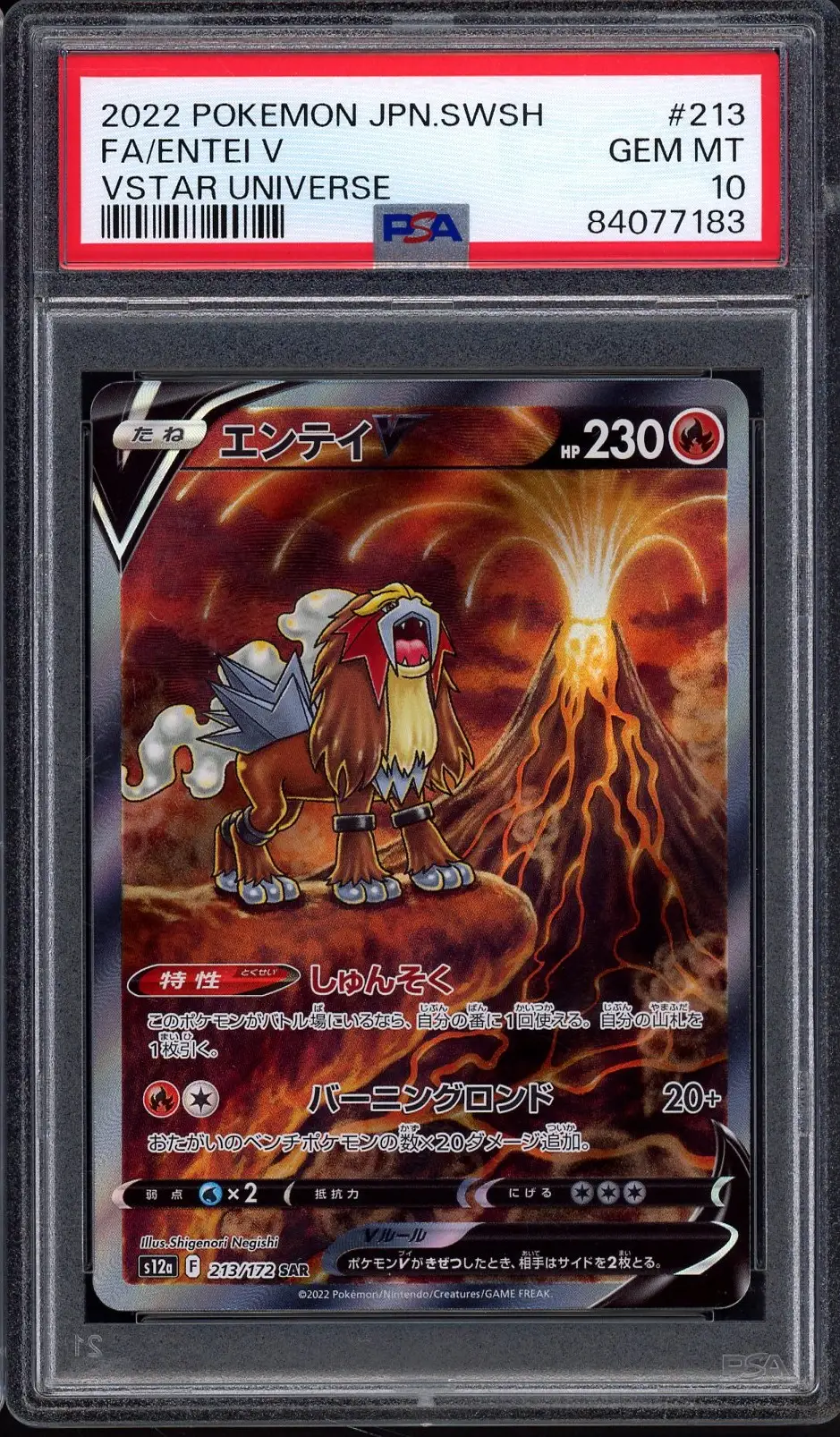 PSA 10 Entei V