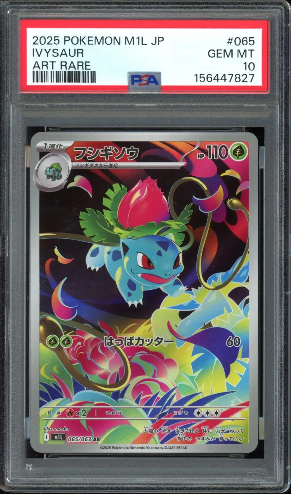 PSA 10 Ivysaur