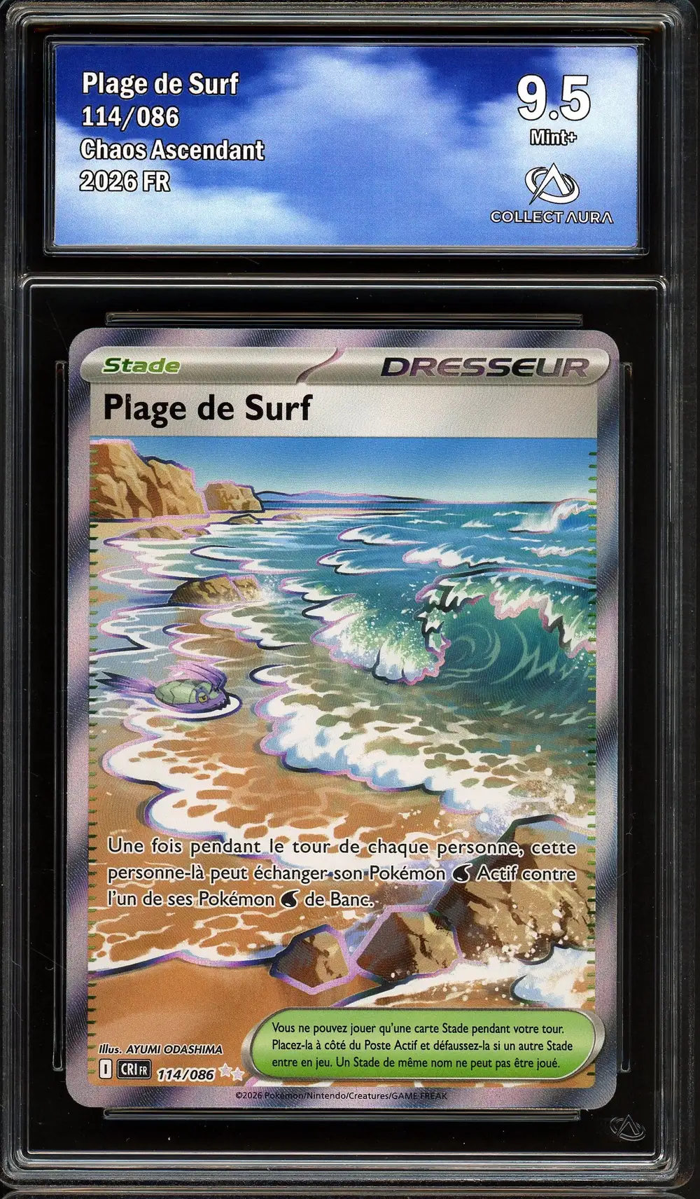 CA 9.5 Plage de Surf