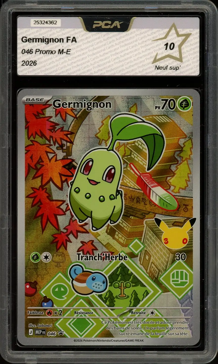 PCA 10 Germignon