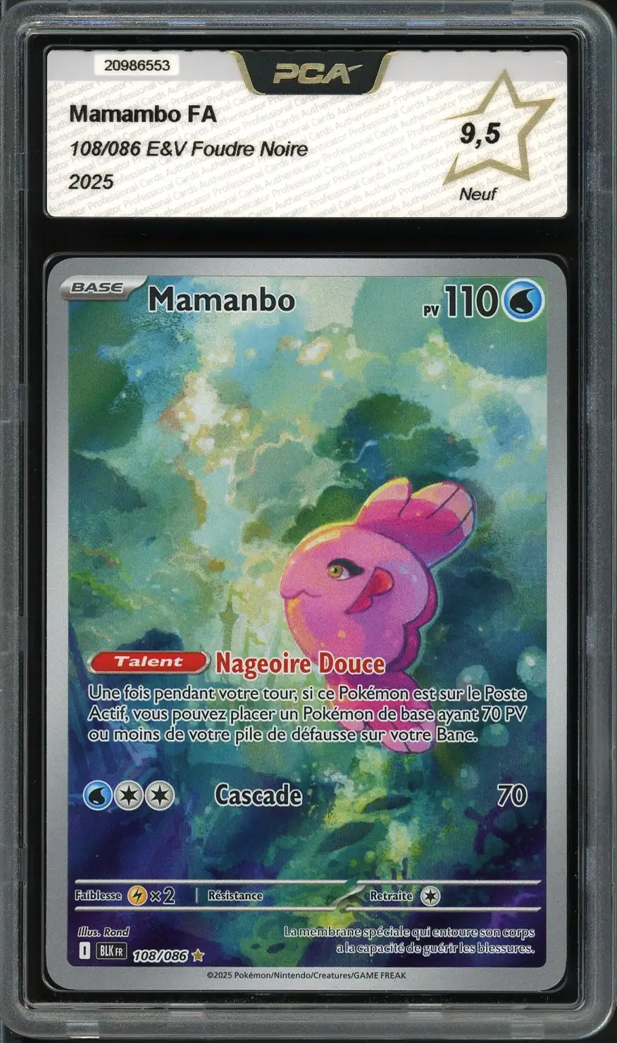 PCA 9.5 Mamanbo