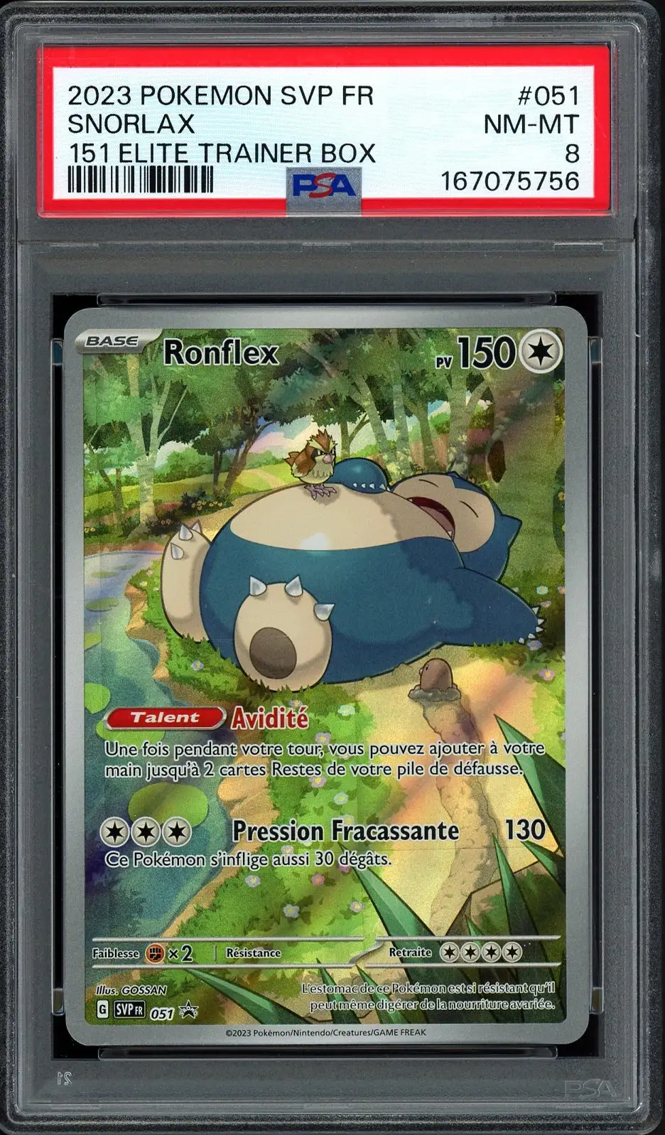 PSA 8 Ronflex