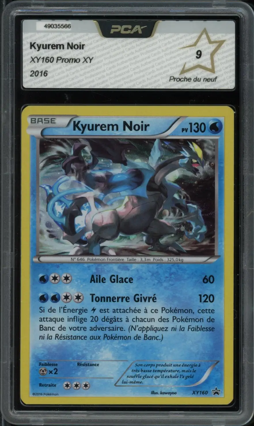 PCA 9 Kyurem Noir Holo