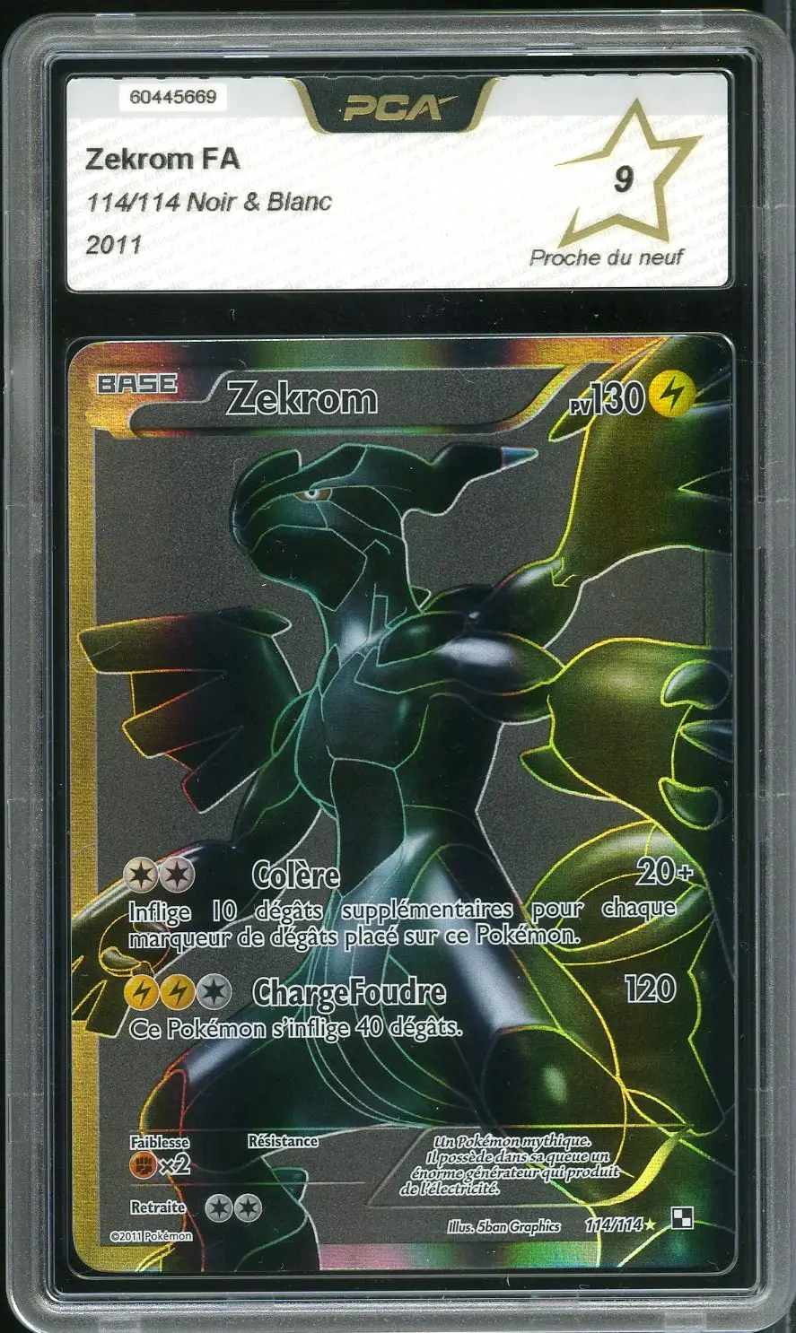 PCA 9 Zekrom