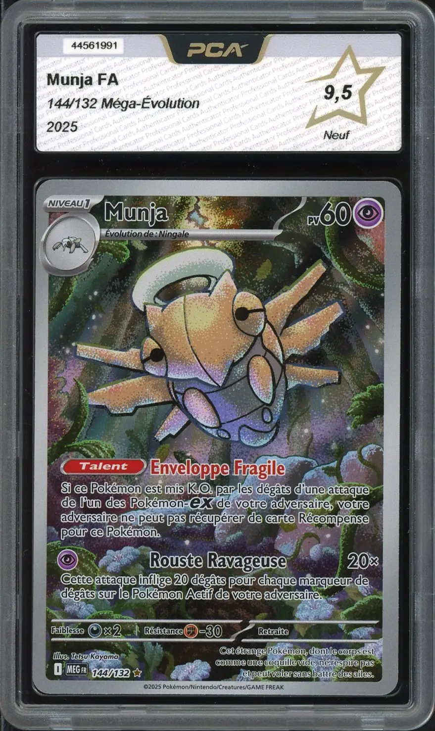 PCA 9.5 Munja