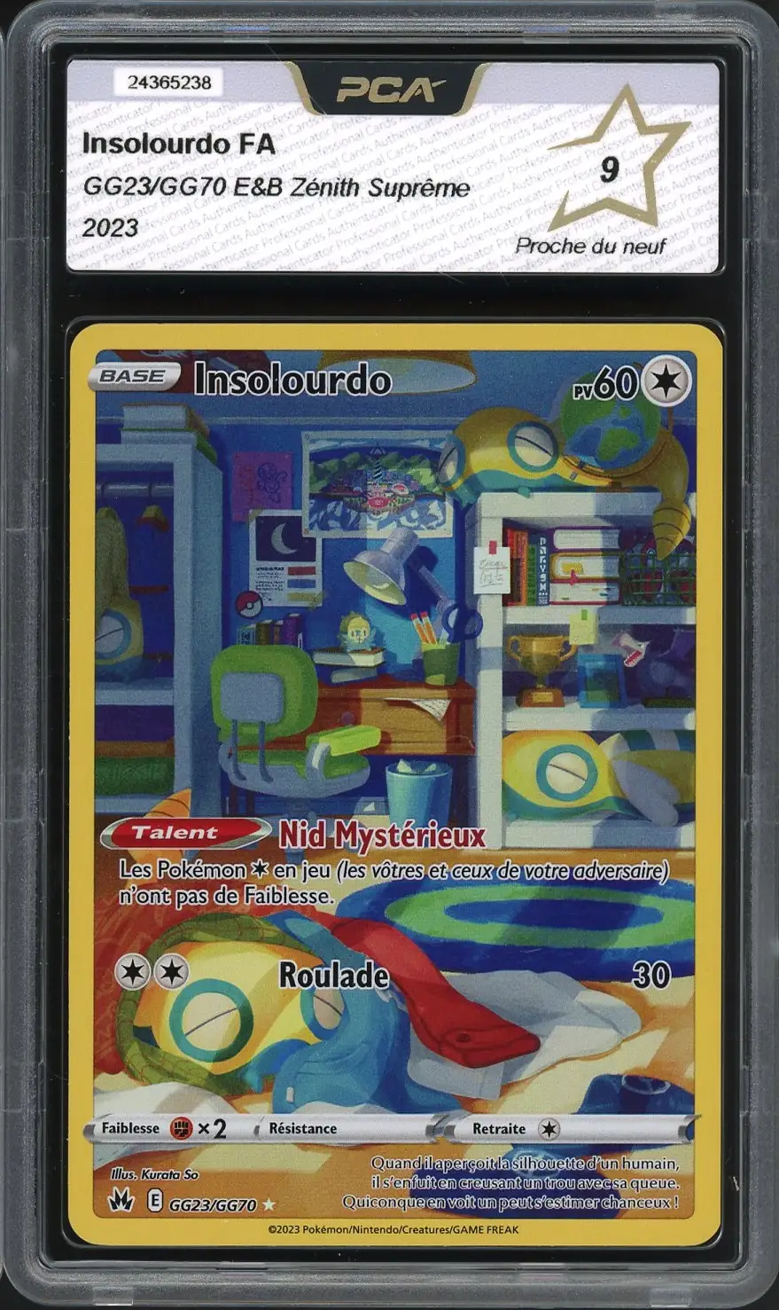 PCA 9 Insolourdo