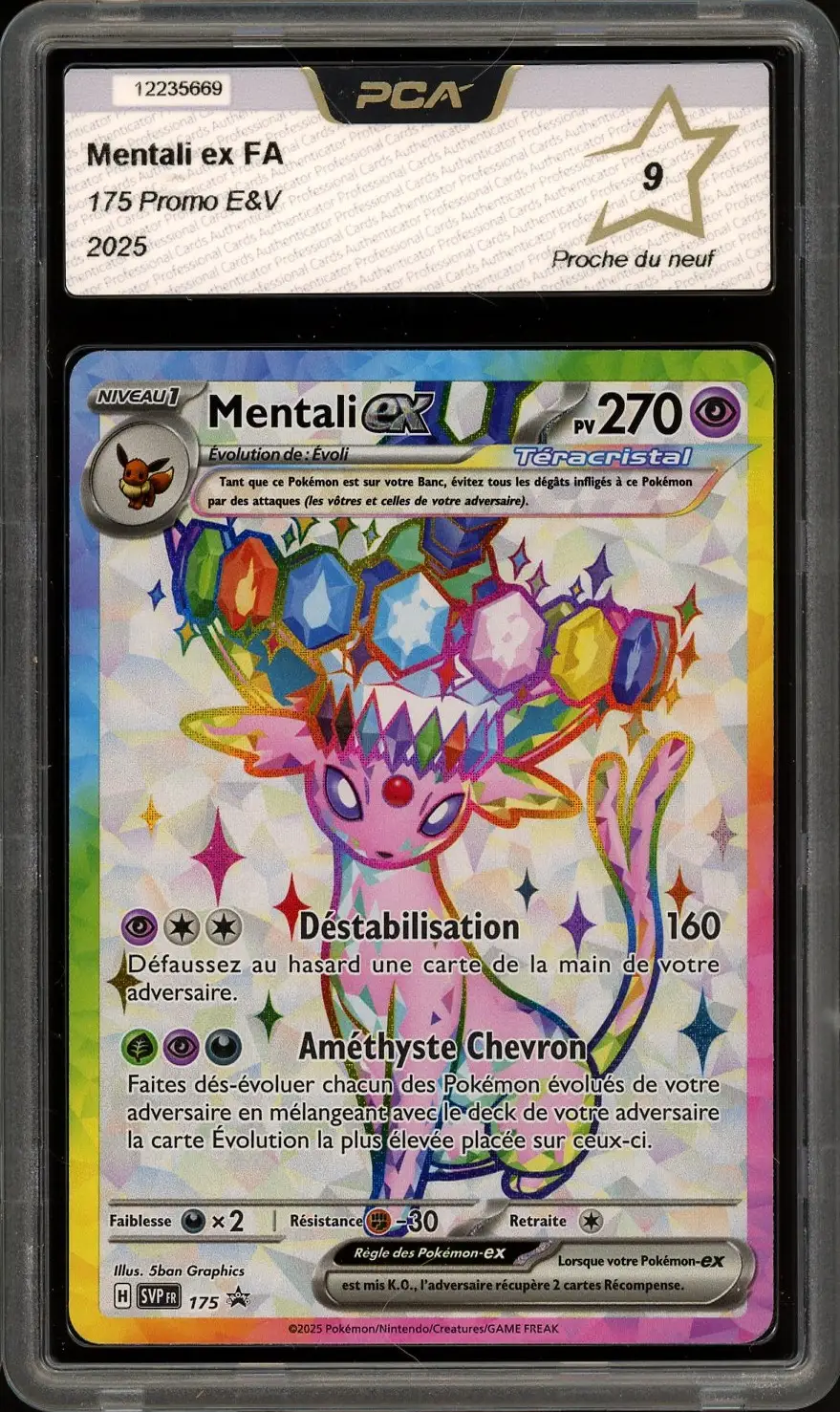 PCA 9 Mentali Ex