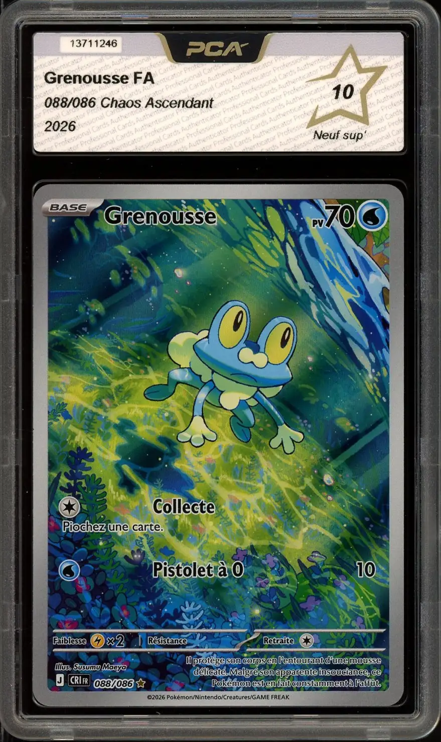 PCA 10 Grenousse