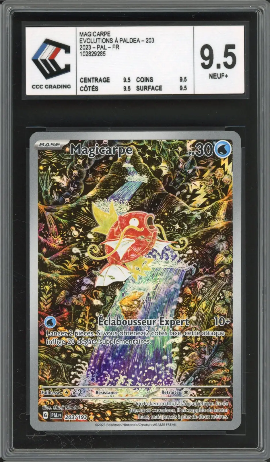 CCC 9.5 Magicarpe
