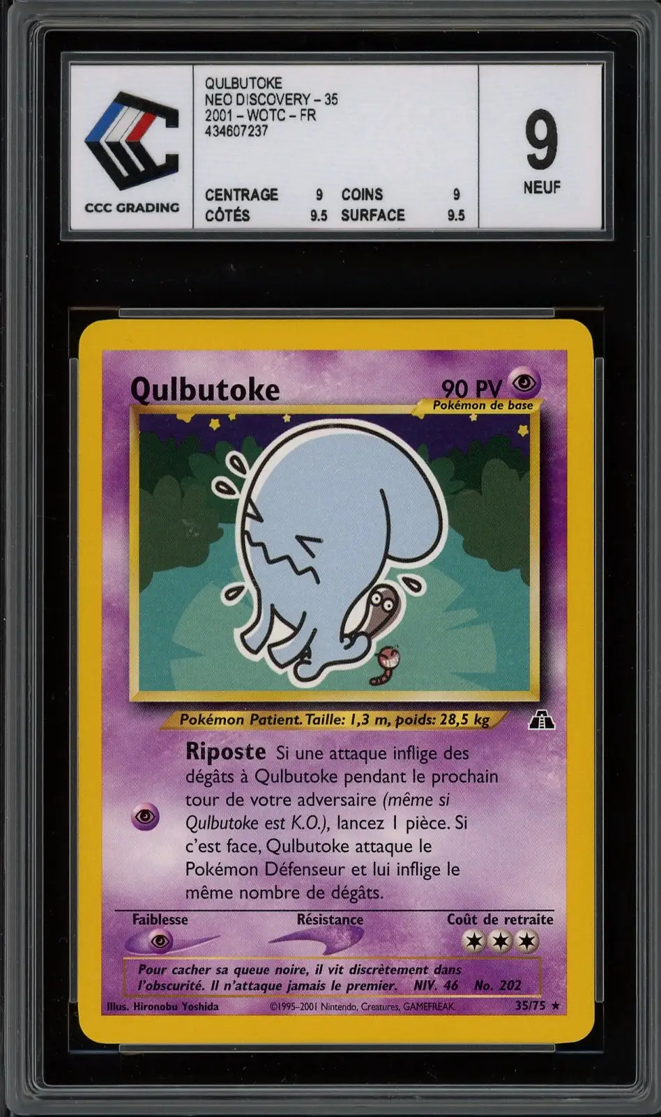 CCC 9 Qulbutoke