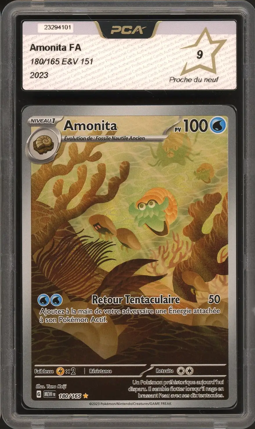 PCA 9 Amonita