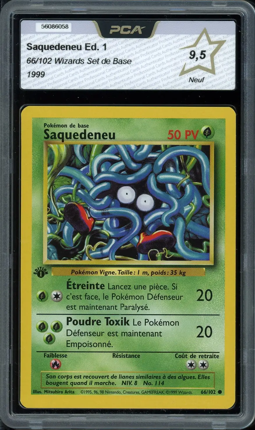 PCA 9.5 Saquedeneu