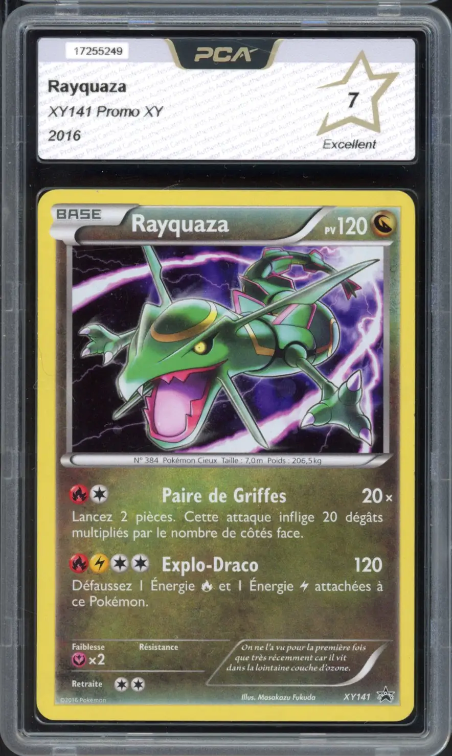 PCA 7 Rayquaza