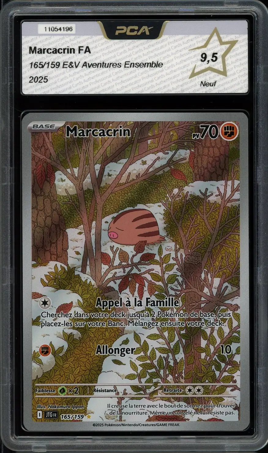 PCA 9.5 Marcacrin